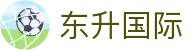 东升国际 - 彰显尊贵品质与璀璨博彩体验的高端门户